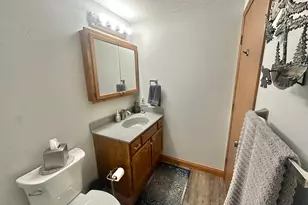808 Lake Chapeau Dr, Albert Lea, MN 56007 - Photo 19