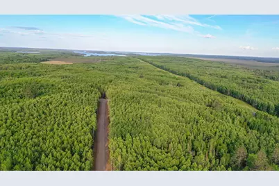 Tbd Parcel X Frazer Bay Road, Cook, MN 55723 - Photo 11