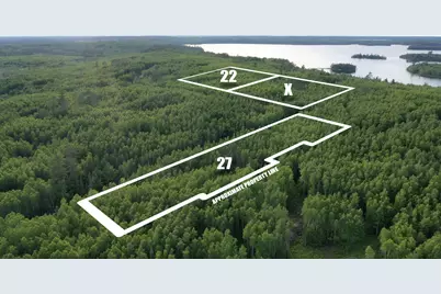 Tbd Parcel X Frazer Bay Road, Cook, MN 55723 - Photo 1
