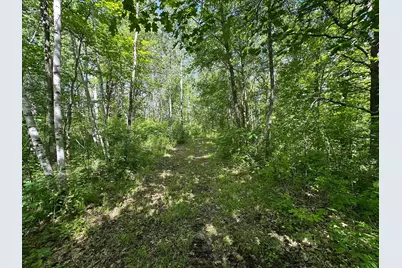 89225 Little Oak Lake Road, Kerrick, MN 55756 - Photo 15