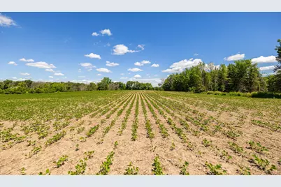 Tbd Base Line Road, Dundas, MN 55019 - Photo 13