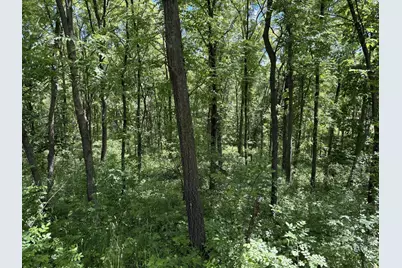 Tbd Base Line Road, Dundas, MN 55019 - Photo 21