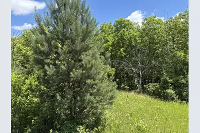Tbd Base Line Road, Dundas, MN 55019 - Photo 17