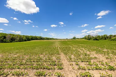 Tbd Base Line Road, Dundas, MN 55019 - Photo 7