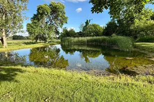 12456 10th Ave, Swanville, MN 56382 - Photo 5