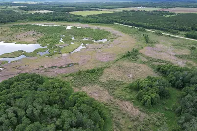 Tbd 340th Street, Menahga, MN 56464 - Photo 13