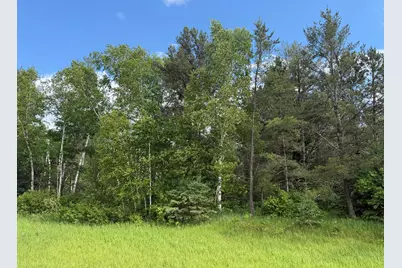 Tbd 340th Street, Menahga, MN 56464 - Photo 47