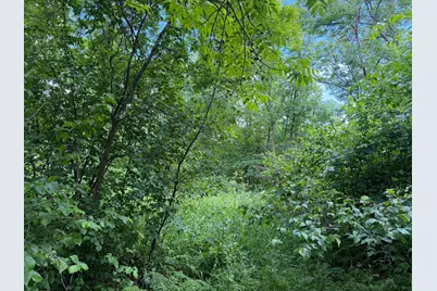 Tbd 340th Street, Menahga, MN 56464 - Photo 49