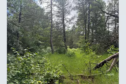 Tbd 340th Street, Menahga, MN 56464 - Photo 51