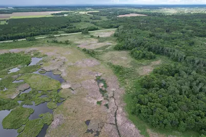 Tbd 340th Street, Menahga, MN 56464 - Photo 9