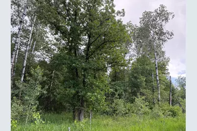 Tbd 340th Street, Menahga, MN 56464 - Photo 37