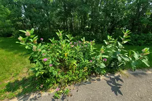 5786 Mid-Valley Ln NW, Bemidji, MN 56601 - Photo 31
