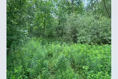 Tbd US Hwy 12, Woodville, WI 54028 - Photo 7