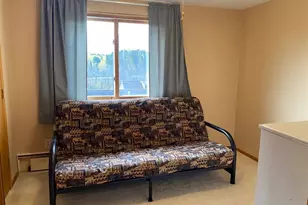 110 3rd Street N, Tower, MN 55790 - Photo 19