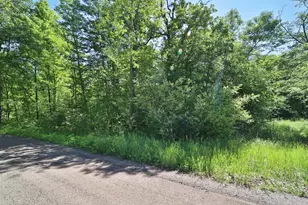 Tbd Meander Way, Garrison, MN 56450 - Photo 1