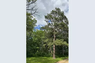 10985 49th Avenue SW, Pillager, MN 56473 - Photo 21