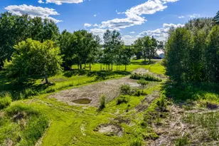 460 Lake Ave, Tenstrike, MN 56683 - Photo 45