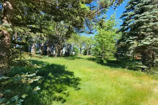 5182 45th Ave SE, Saint Cloud, MN 56304 - Photo 41
