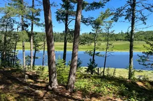 7168 Gold Mine Rd, Orr, MN 55771 - Photo 5