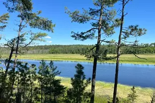 7168 Gold Mine Rd, Orr, MN 55771 - Photo 3