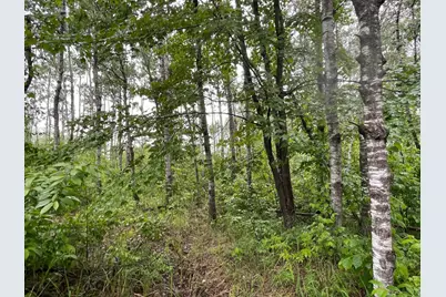 Tbd Klejeski Road, Sandstone, MN 55072 - Photo 7