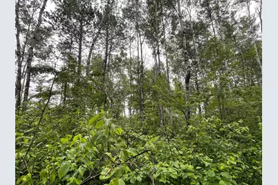 Tbd Klejeski Road, Sandstone, MN 55072 - Photo 33