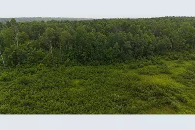 Tbd Klejeski Road, Sandstone, MN 55072 - Photo 23