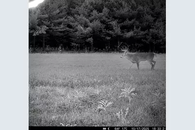 Tbd County Road D, Emerald, WI 54013 - Photo 23