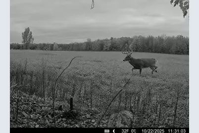 Tbd County Road D, Emerald, WI 54013 - Photo 19