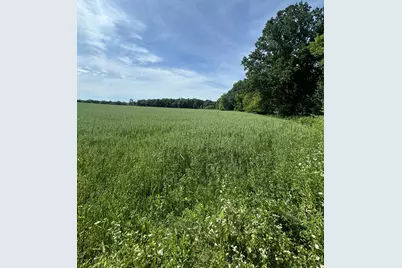 Tbd County Road D, Emerald, WI 54013 - Photo 13