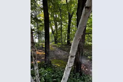 40107 County 17, Browerville, MN 56438 - Photo 27