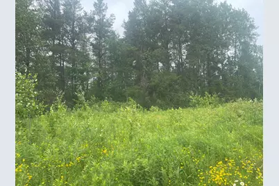 Tbd Degerstrom Road, Askov, MN 55704 - Photo 3