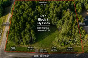 3181 317th Ct NW, Cambridge, MN 55008 - Photo 1