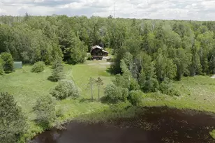 9289 Heino Rd, Angora, MN 55703 - Photo 29
