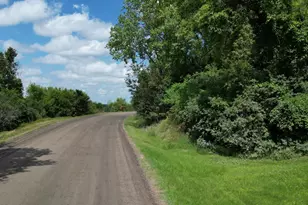 33672 County Road 15, Morton, MN 56270 - Photo 25