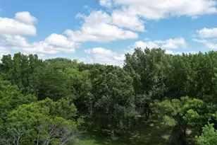 33672 County Road 15, Morton, MN 56270 - Photo 27
