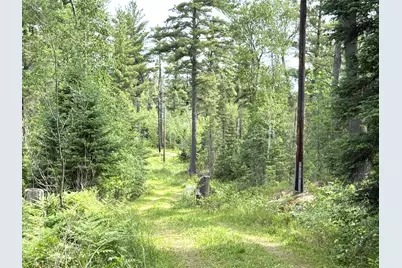 1648 Golden Ridge Trail, Ely, MN 55731 - Photo 13