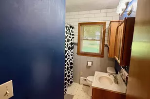 457 Division St, Gaylord, MN 55334 - Photo 21