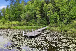 64995 S Fishermans Trail, Effie, MN 56639 - Photo 21