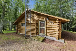 64995 S Fishermans Trail, Effie, MN 56639 - Photo 3