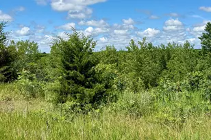 13473 Bittner Dr, Sauk Centre Township, MN 56378 - Photo 17