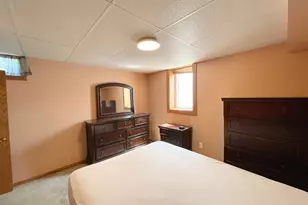 401 Wilson Street W, Springfield, MN 56087 - Photo 39