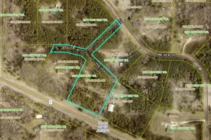1374 Pine View Trail, Houlton, WI 54082 - Photo 33