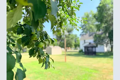 220 Grace Avenue, Iona, MN 56141 - Photo 21