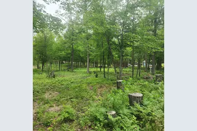 Tbd 186th Ave, McGregor, MN 55760 - Photo 3