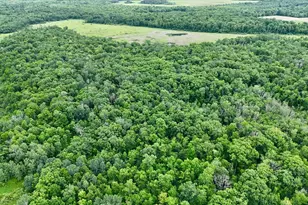 25756 US Hwy 169, Onamia, MN 56359 - Photo 67