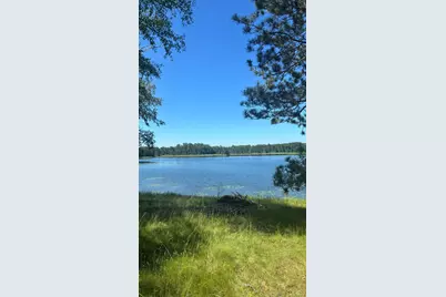 37363 Amen Lake Road, Deer River, MN 56636 - Photo 33