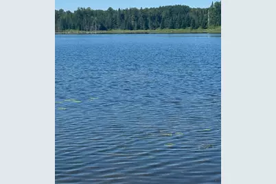 37363 Amen Lake Road, Deer River, MN 56636 - Photo 13