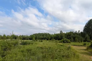 86196 Military Rd, Sturgeon Lake, MN 55783 - Photo 27