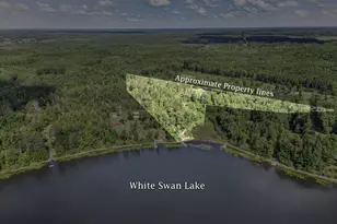 51150 N White Swan Lake Rd, Bigfork, MN 56628 - Photo 5